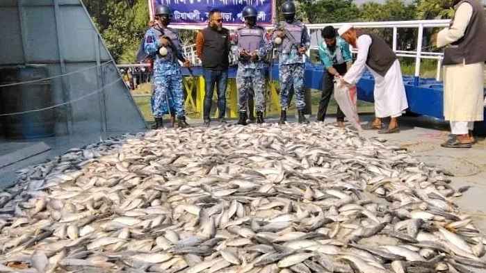 পটুয়াখালীতে ২ হাজার কেজি জাটকা জব্দ 