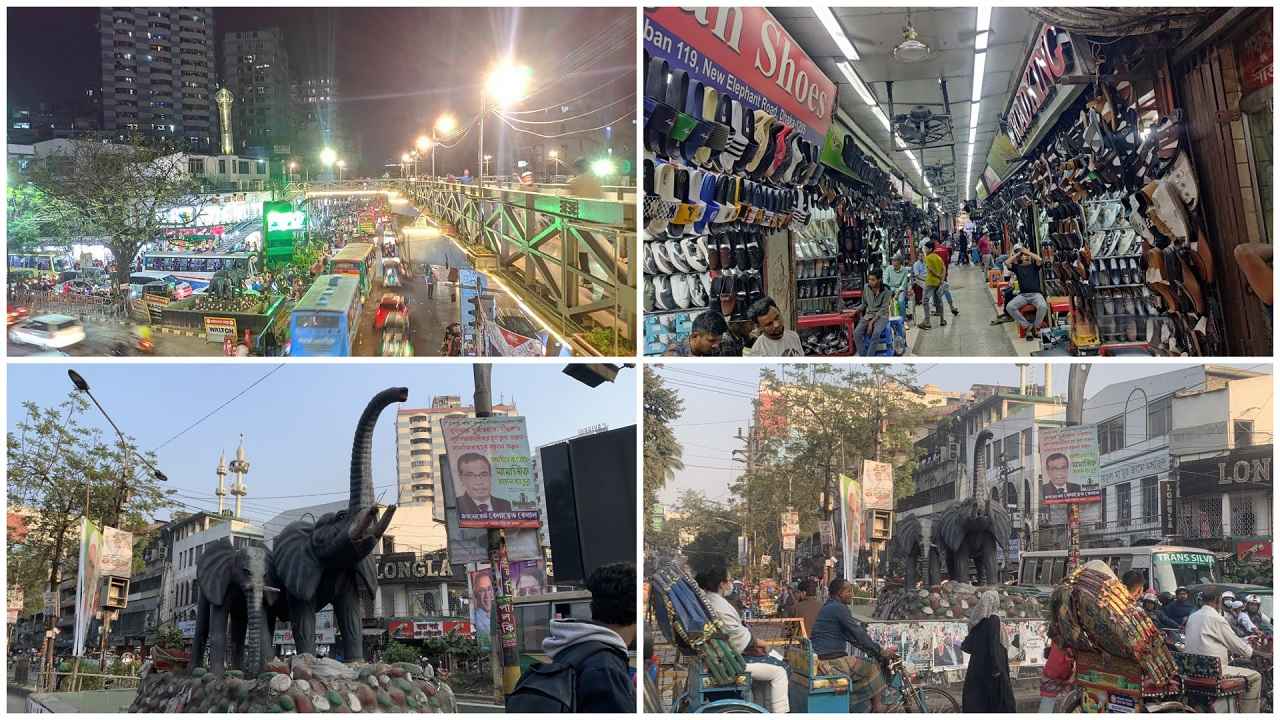 ঢাকার এলিফ্যান্ট রোডের ইতিহাস, রূপান্তর, বর্তমান অবস্থা