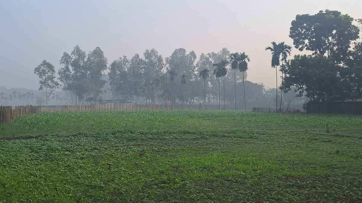 মৌসুমের সর্বনিম্ন তাপমাত্রা পঞ্চগড়ে, তাপমাত্রা নেমেছে ১১ ডিগ্রিতে
