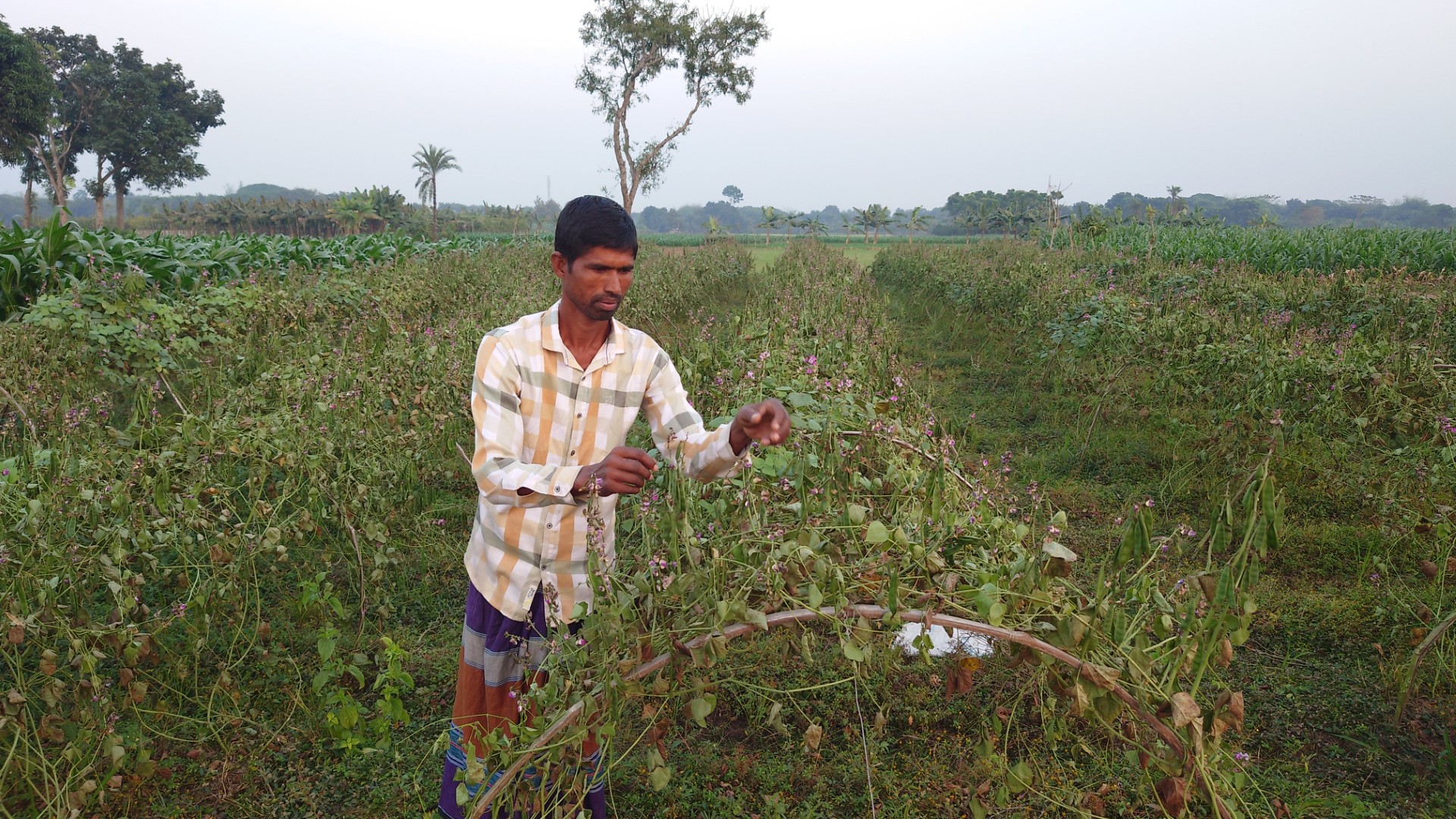 thumbnail_1000036190