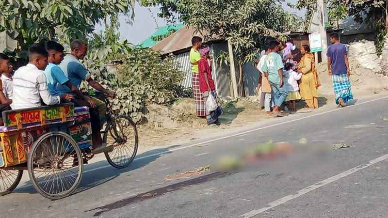 বগুড়ায় ট্রাকচাপায় মা-মেয়ে নিহত