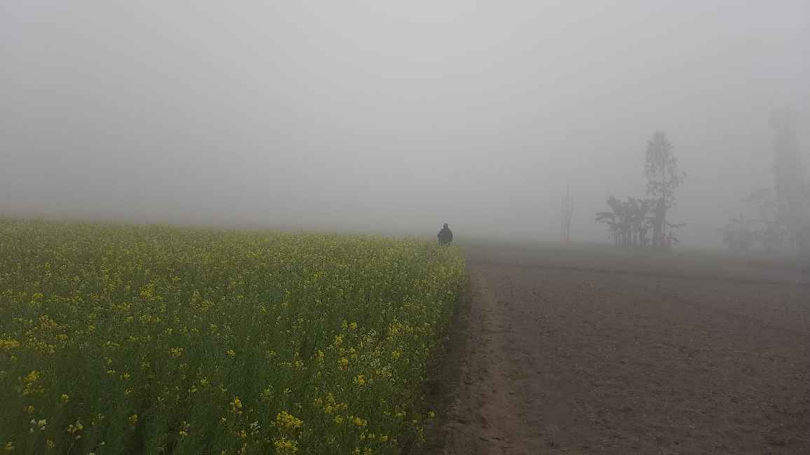 বগুড়ায় মৌসুমের সর্বনিম্ন ১১.৬ ডিগ্রি তাপমাত্রার রেকর্ড