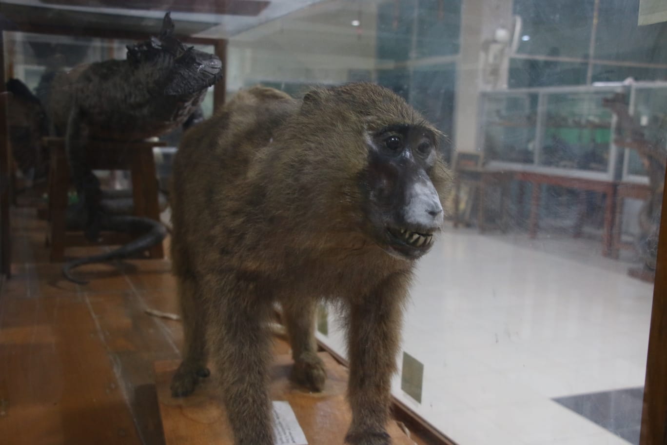 thumbnail_1000158054