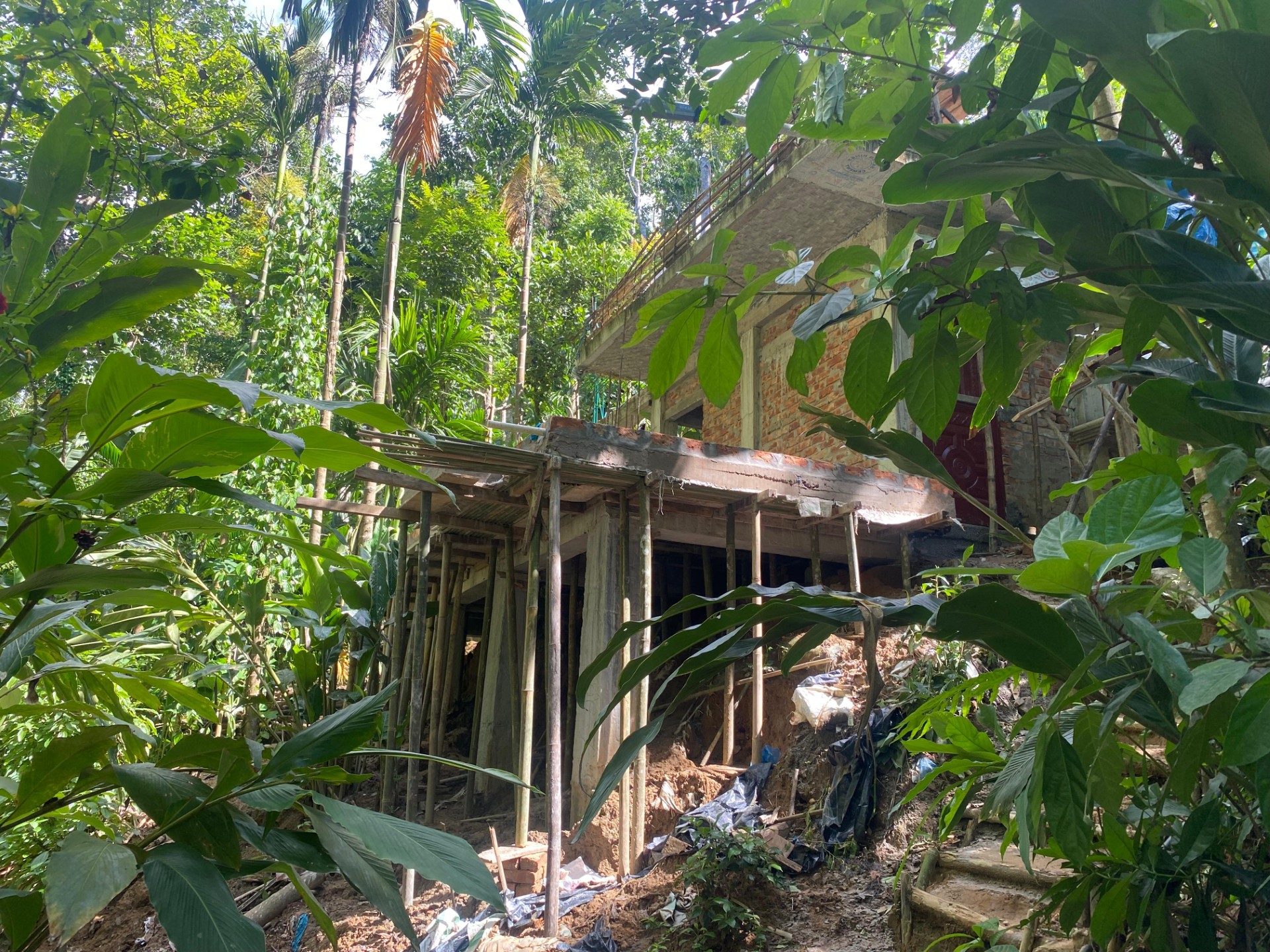 thumbnail_1000178610