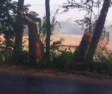 thumbnail_1000254077