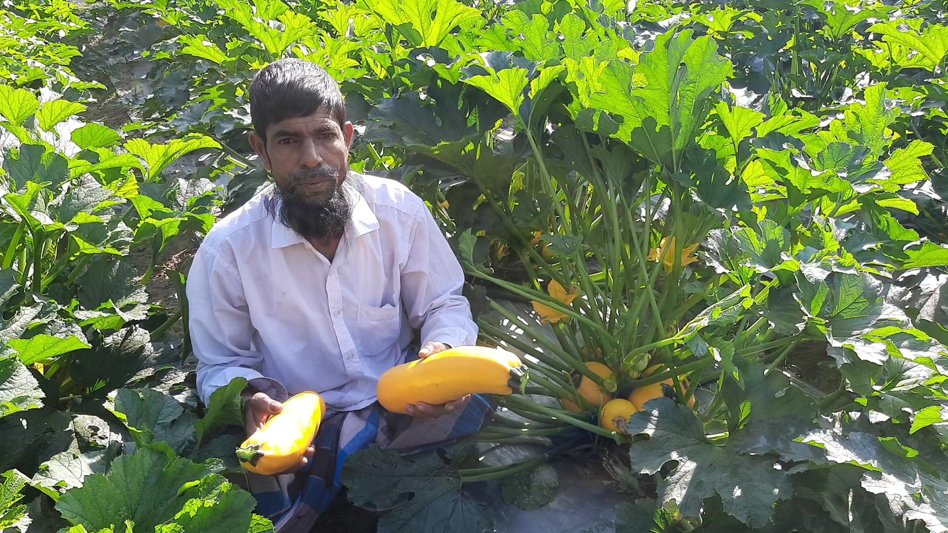 thumbnail_1000340756