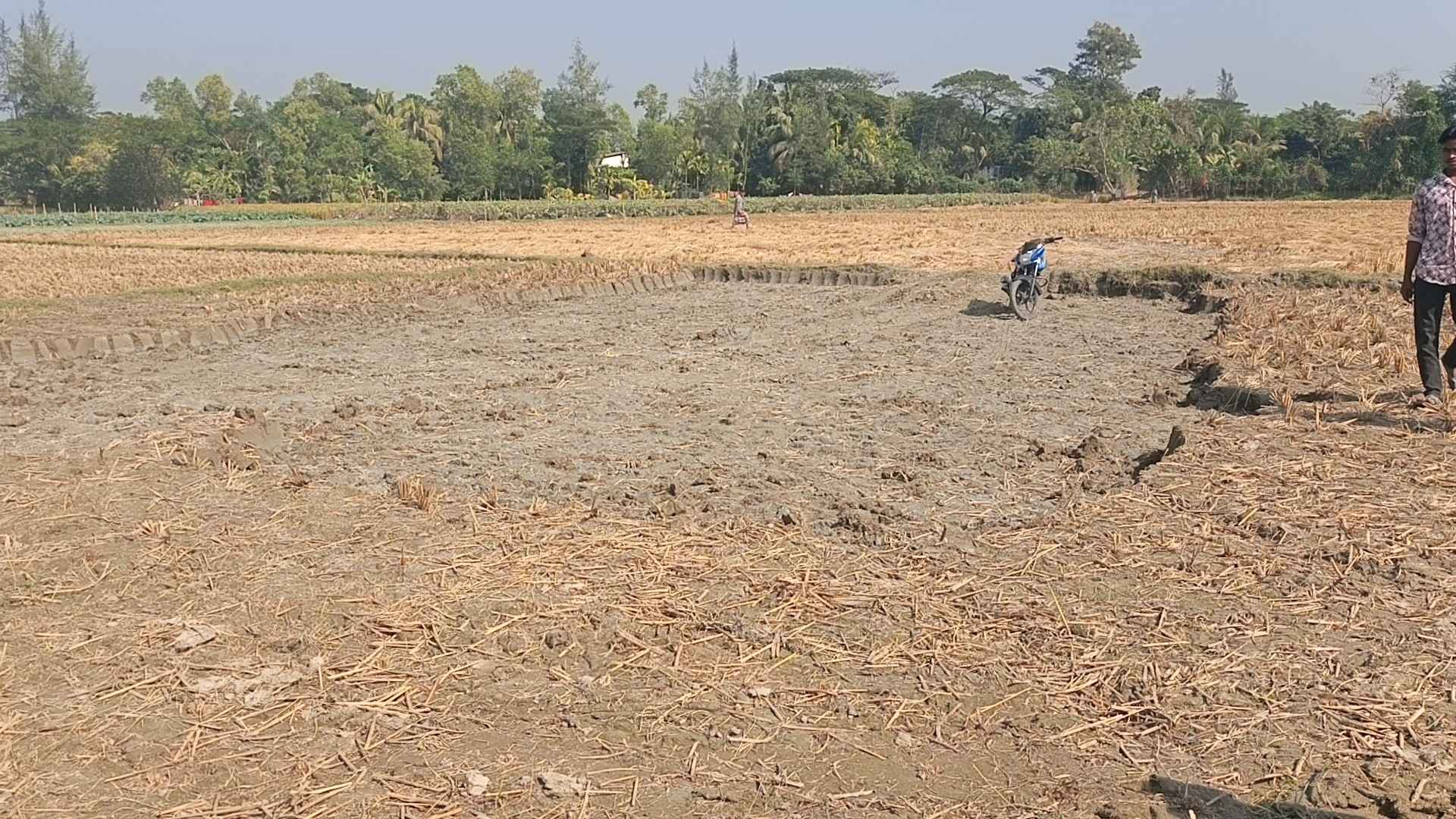 লক্ষ্মীপুরে ফসলি জমির মাটি কেটে নেওয়ার অভিযোগ