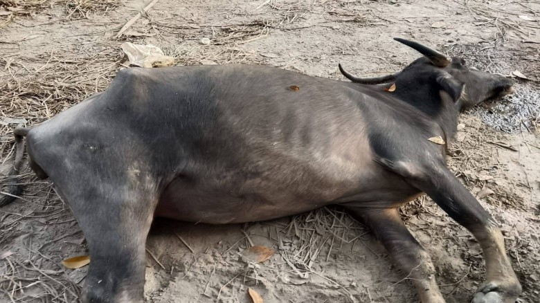 thumbnail_1764581524YUe6mSX8