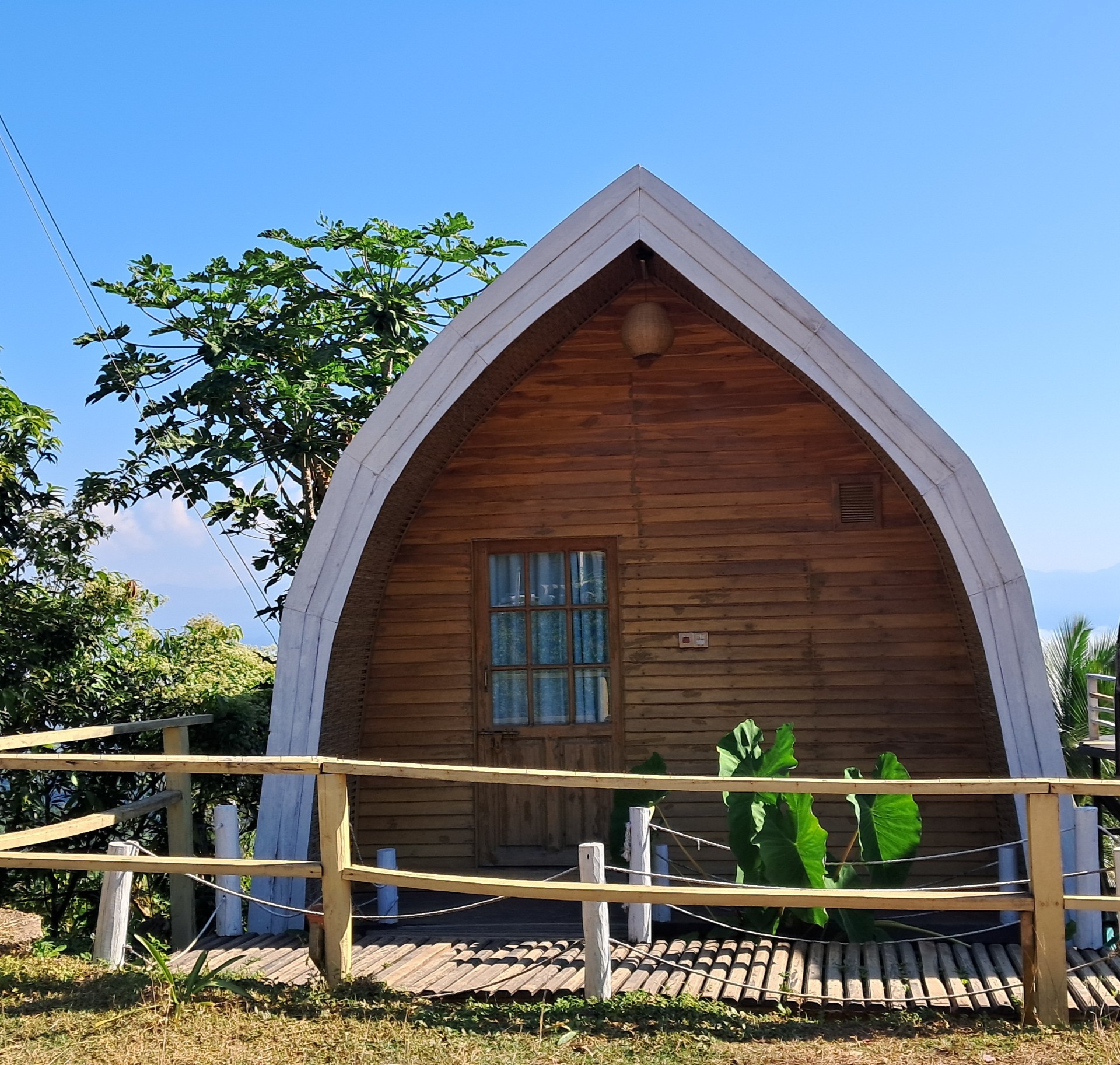 thumbnail_20251129_093203