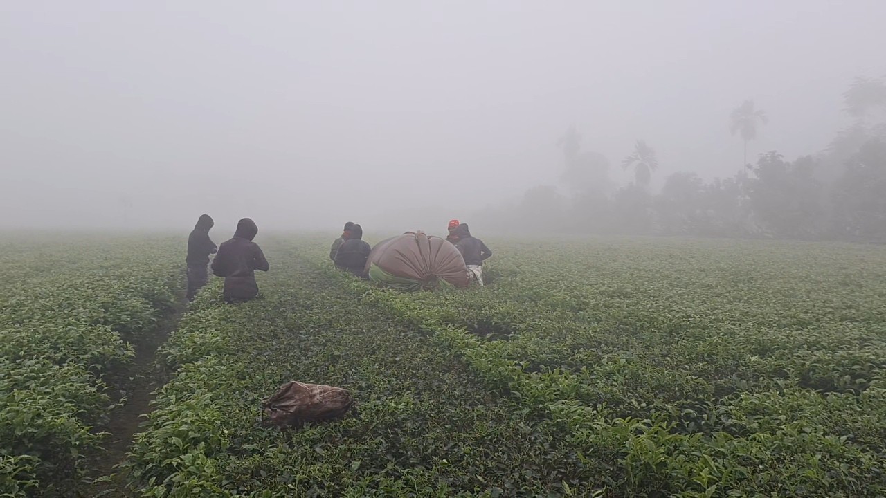 thumbnail_20251225_075833