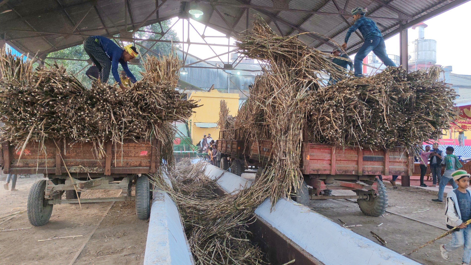 thumbnail_Ceru_and_Cong-_(2)