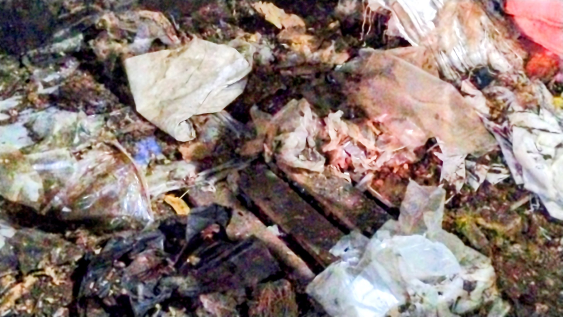 thumbnail_Chuadanga_08-12_(4)