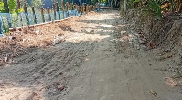 thumbnail_IMG_20251202_203317