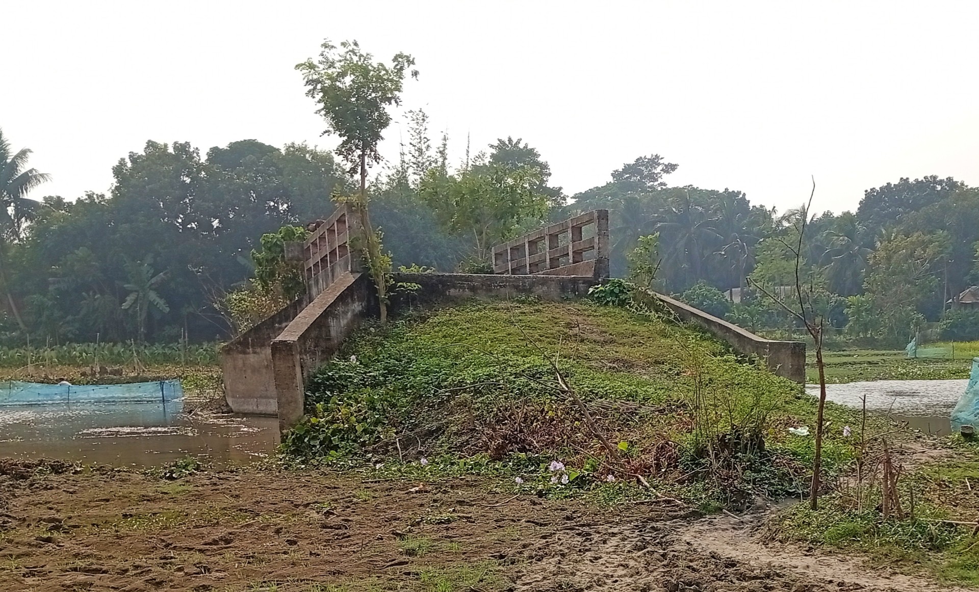 thumbnail_IMG_20251214_190742