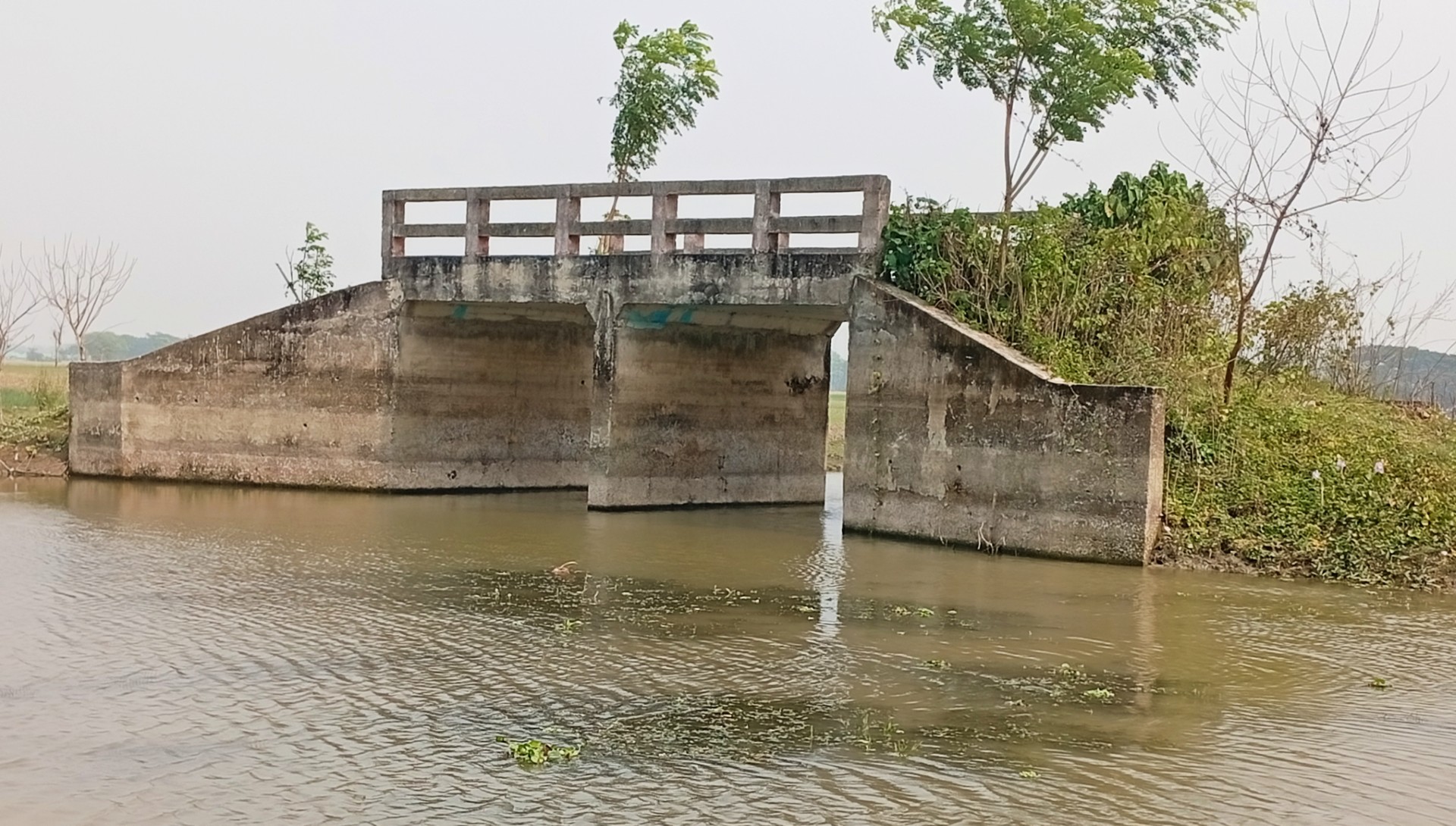 thumbnail_IMG_20251214_190800