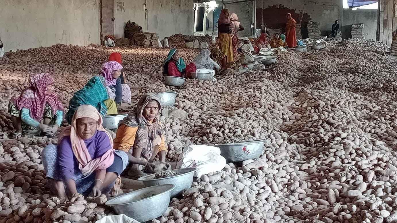 হিমাগারের আলু নিতে মাইকিং, আসছেন না চাষি-ব্যবসায়ীরা