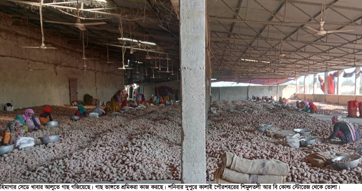 thumbnail_Joypurhat_Alo_Pic-2