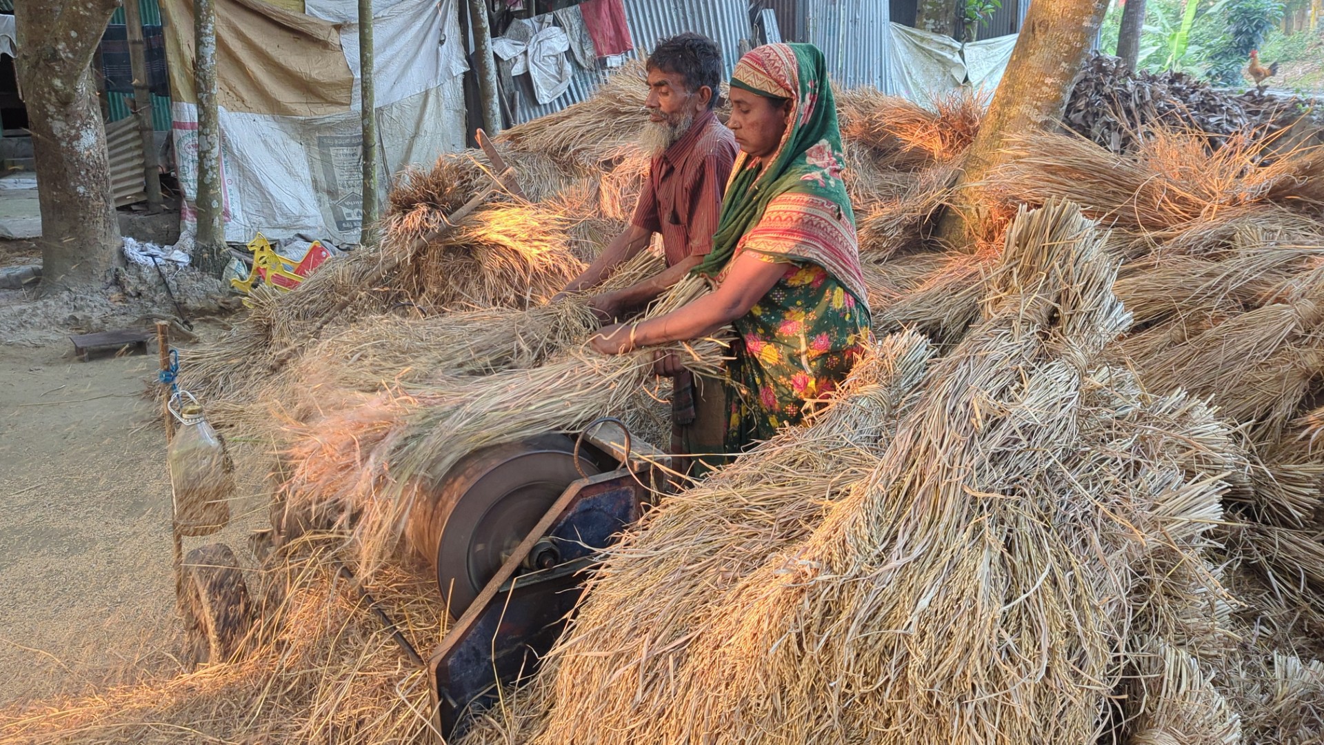 thumbnail_PXL_20251125_103422587