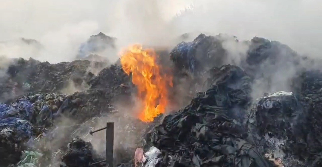 thumbnail_Screenshot_20251201_112657_Editor_Lite