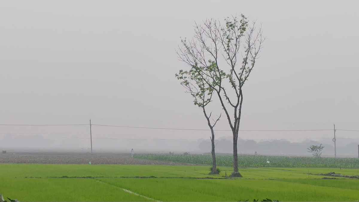 রাজশাহীতে মৌসুমের সর্বনিম্ন তাপমাত্রা ১০.২ ডিগ্রি: জনজীবন বিপর্যস্ত