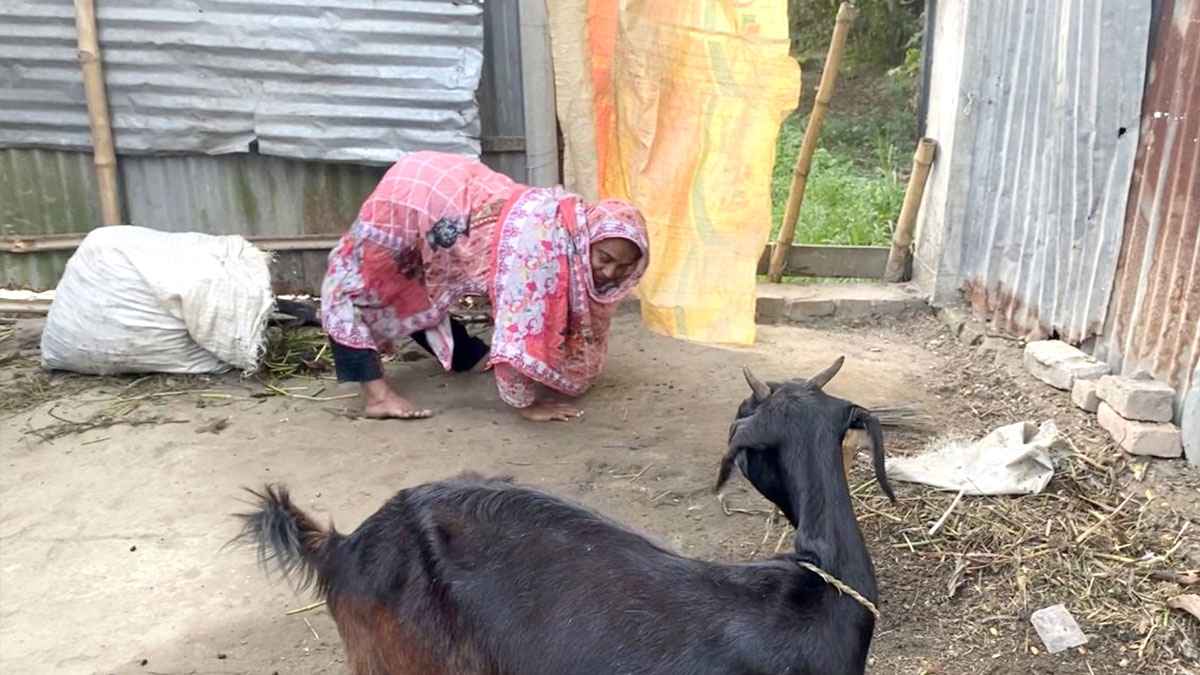 নরসিংদীতে বোনের সঙ্গে ভাইয়ের এ কেমন শত্রুতা!