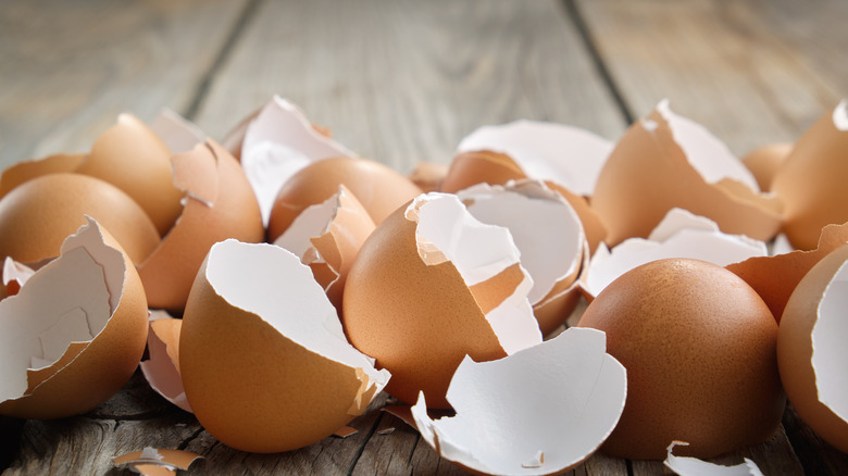 use-egg-peeling-gadgets-1676402297