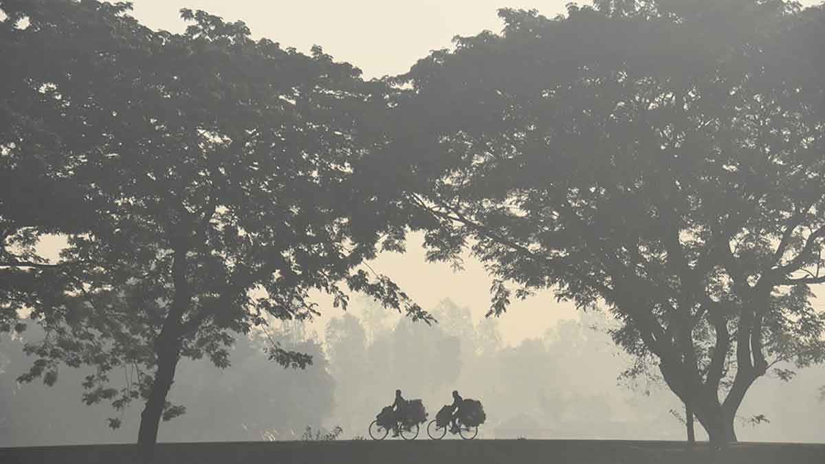 ভোর থেকে দুপুর পর্যন্ত কুয়াশা, জনজীবনে ভোগান্তি