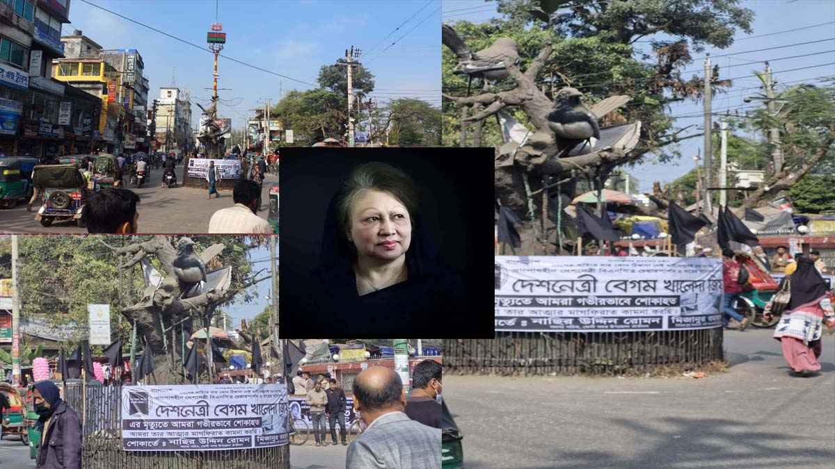 কালো পতাকায় ছেয়ে গেছে পিতৃভূমি ফেনী, দোয়া-মোনাজাতে খালেদা জিয়াকে স্মরণ