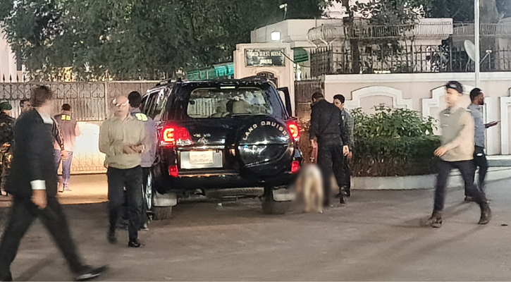 1739190560.BNP 1739190560.BNP