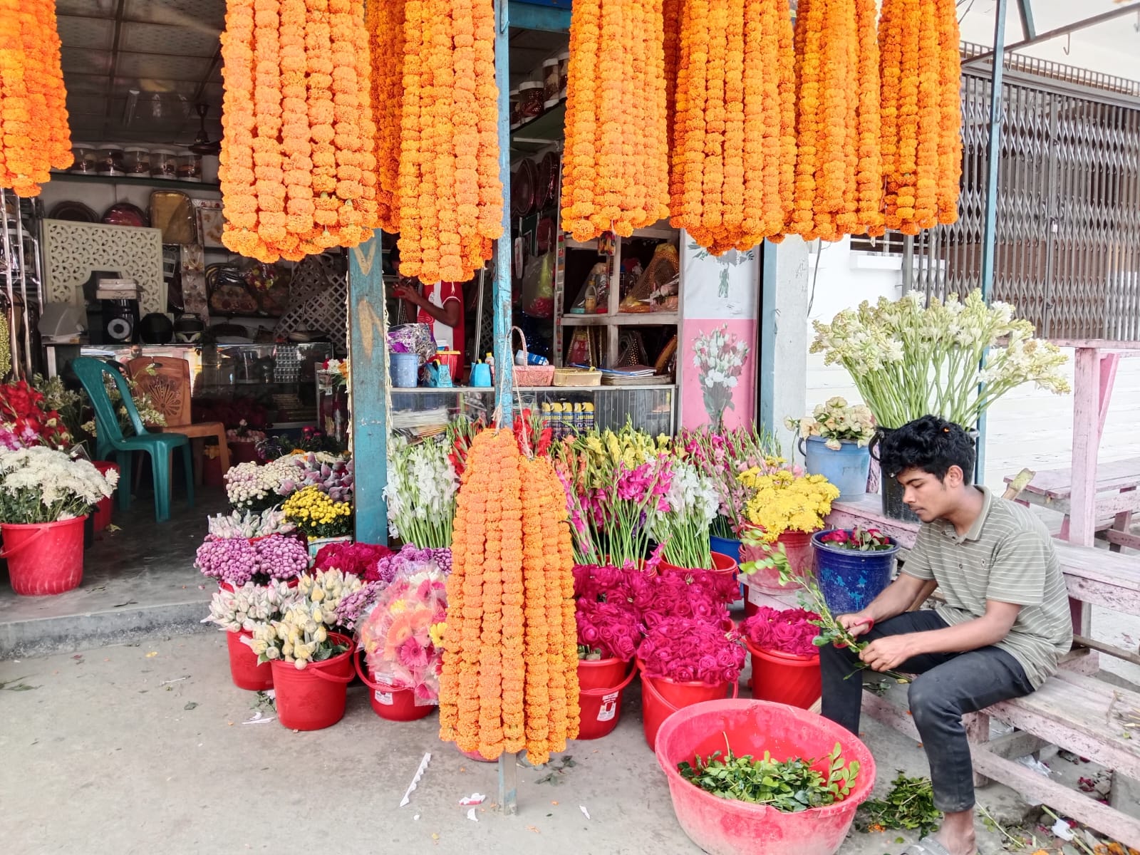 IMG-20250214-WA0028 IMG-20250214-WA0028