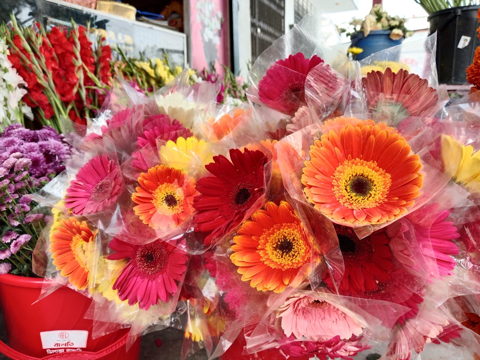 IMG-20250214-WA0029 IMG-20250214-WA0029