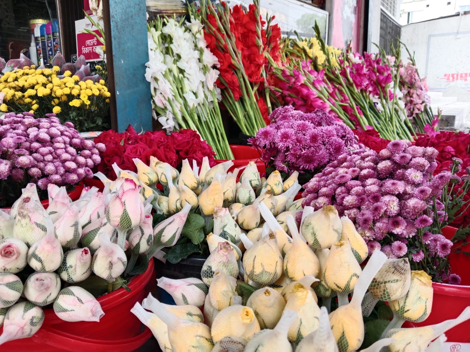 IMG-20250214-WA0030 IMG-20250214-WA0030