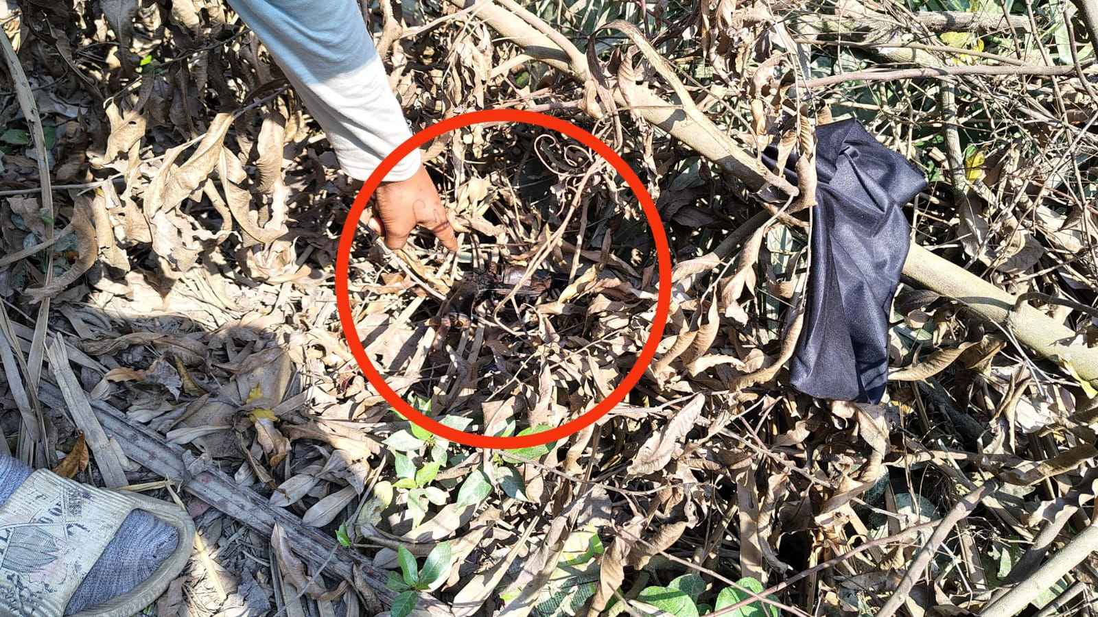 বরিশালের হিজলায় পরিত্যক্ত রিভলভার উদ্ধার