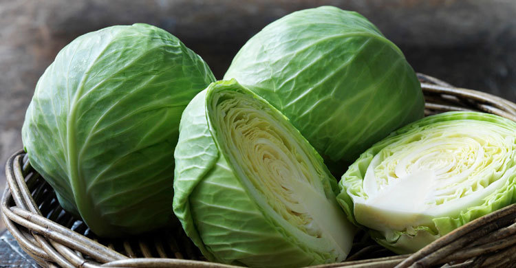 badhakopi1 badhakopi1