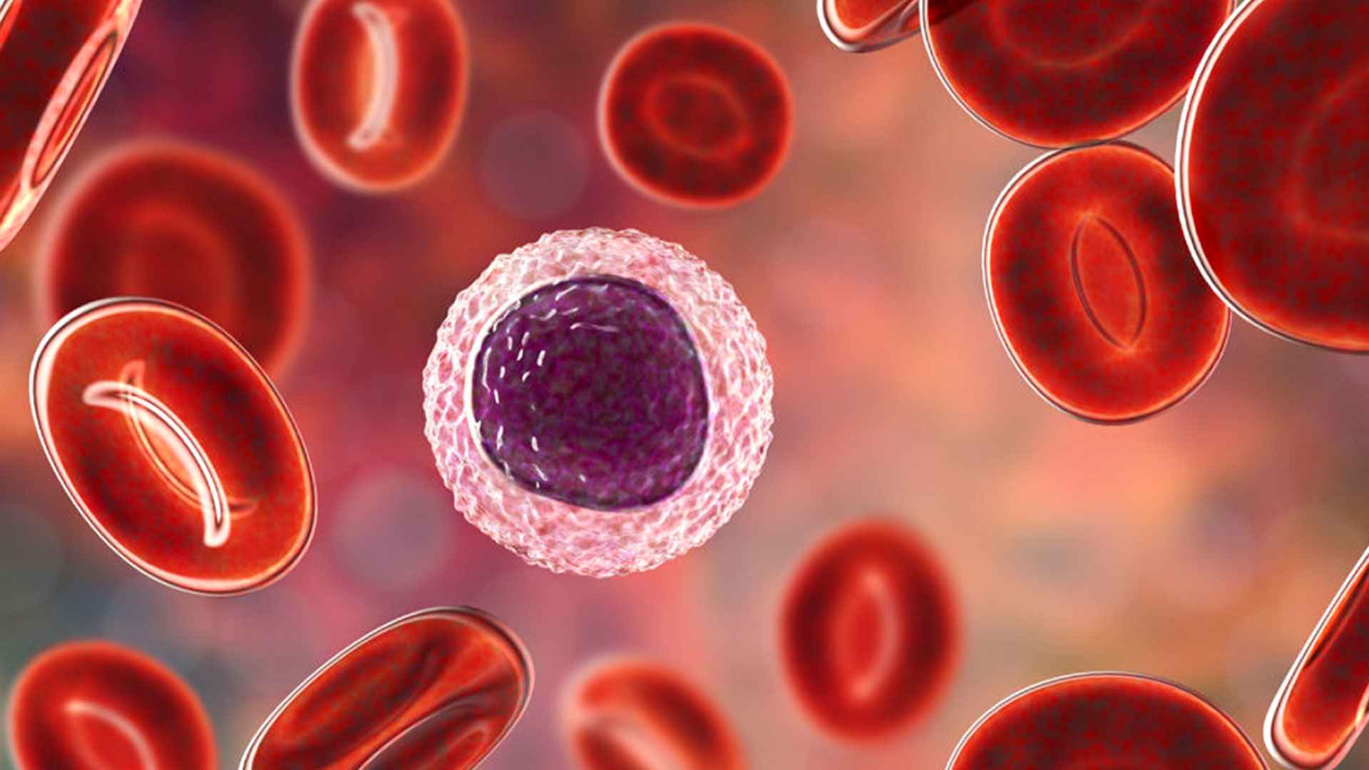 কোন কোন পদার্থের কারণে ব্লাড ক্যানসার হতে পারে?