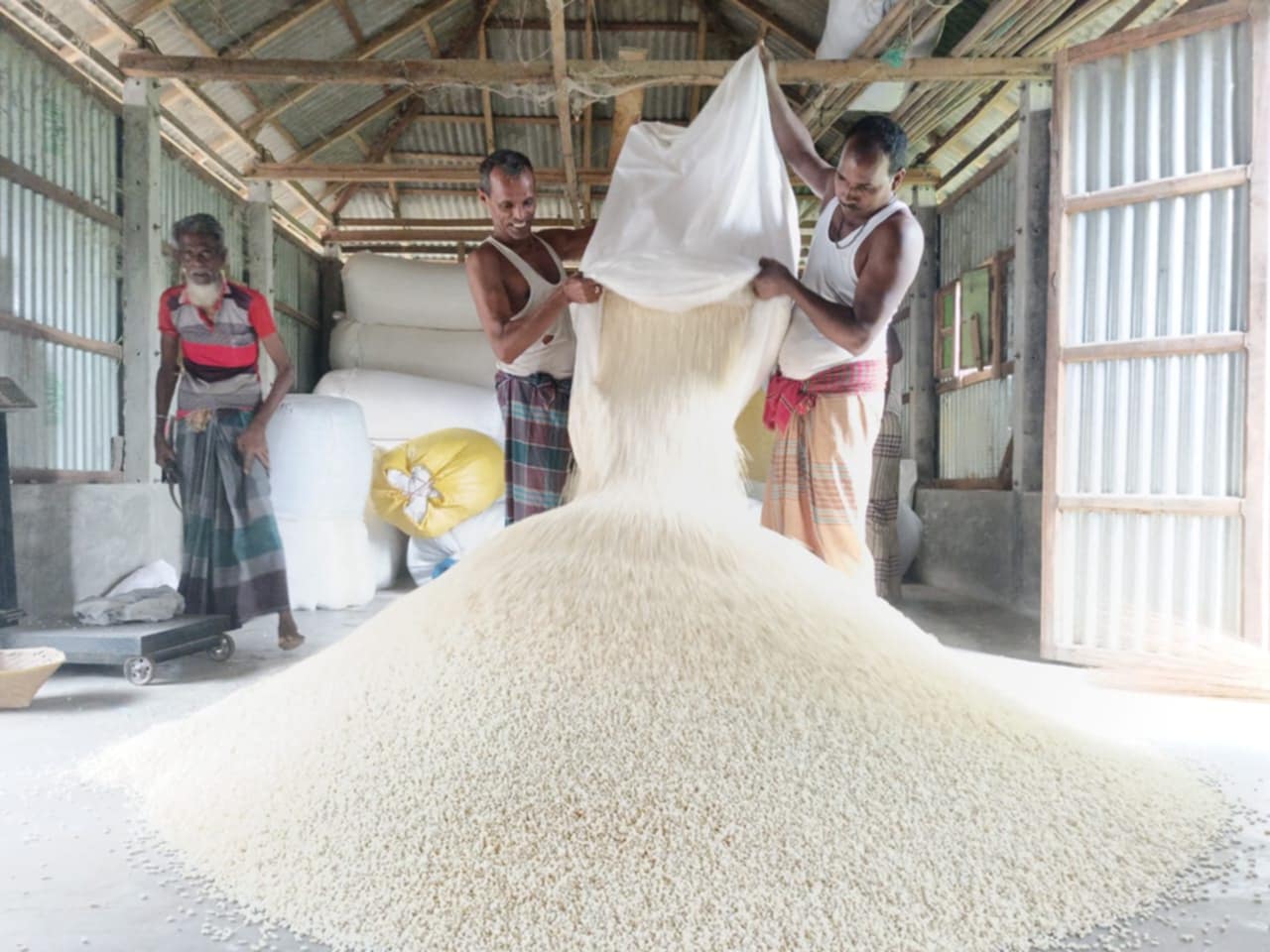 cd70319b-24e7-4ee6-bab4-efc0ce5d235a cd70319b-24e7-4ee6-bab4-efc0ce5d235a