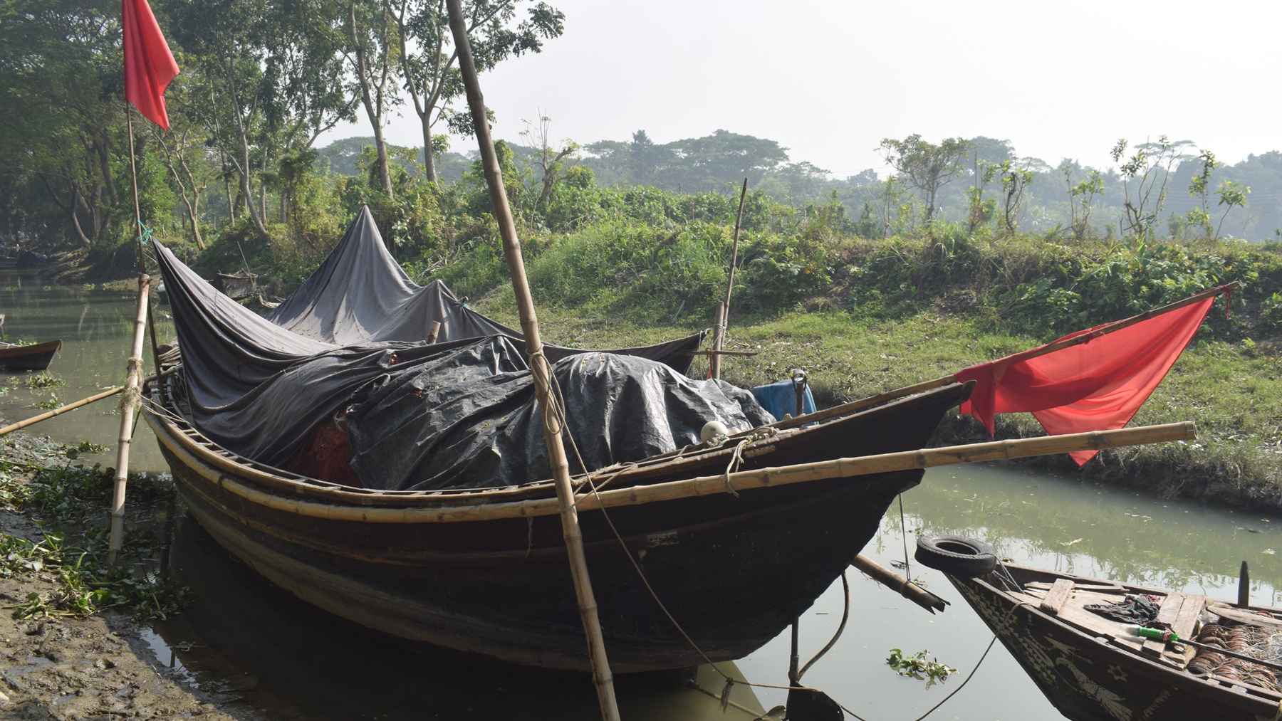 মধ্য রাত থেকে পদ্মা-মেঘনায় দুই মাস জাটকা ধরা নিষিদ্ধ