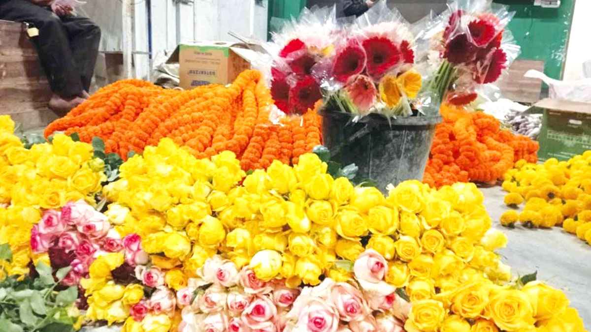 গদখালি ফুল বাজারে ফুল ফুটলেও নেই দাম, চাষিদের উদ্বেগ