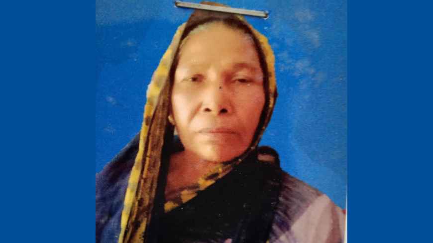 পাওনা টাকা চাওয়ায় বৃদ্ধাকে পিটিয়ে হত্যা