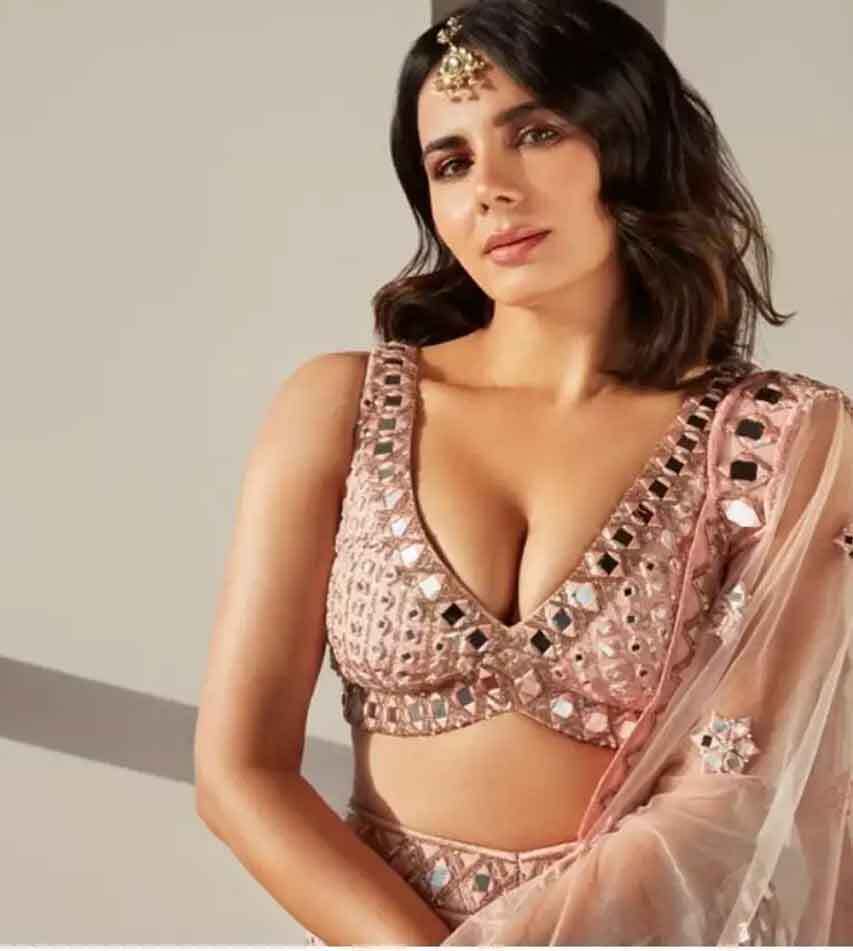 kirti-kulhari-photos_16252261514 kirti-kulhari-photos_16252261514