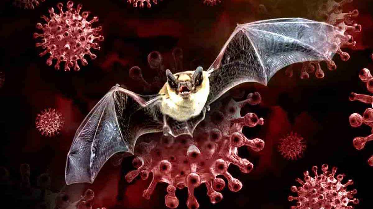 মেলবোর্নে নানা আয়োজনে আন্তর্জাতিক মাতৃভাষা দিবস উদযাপন