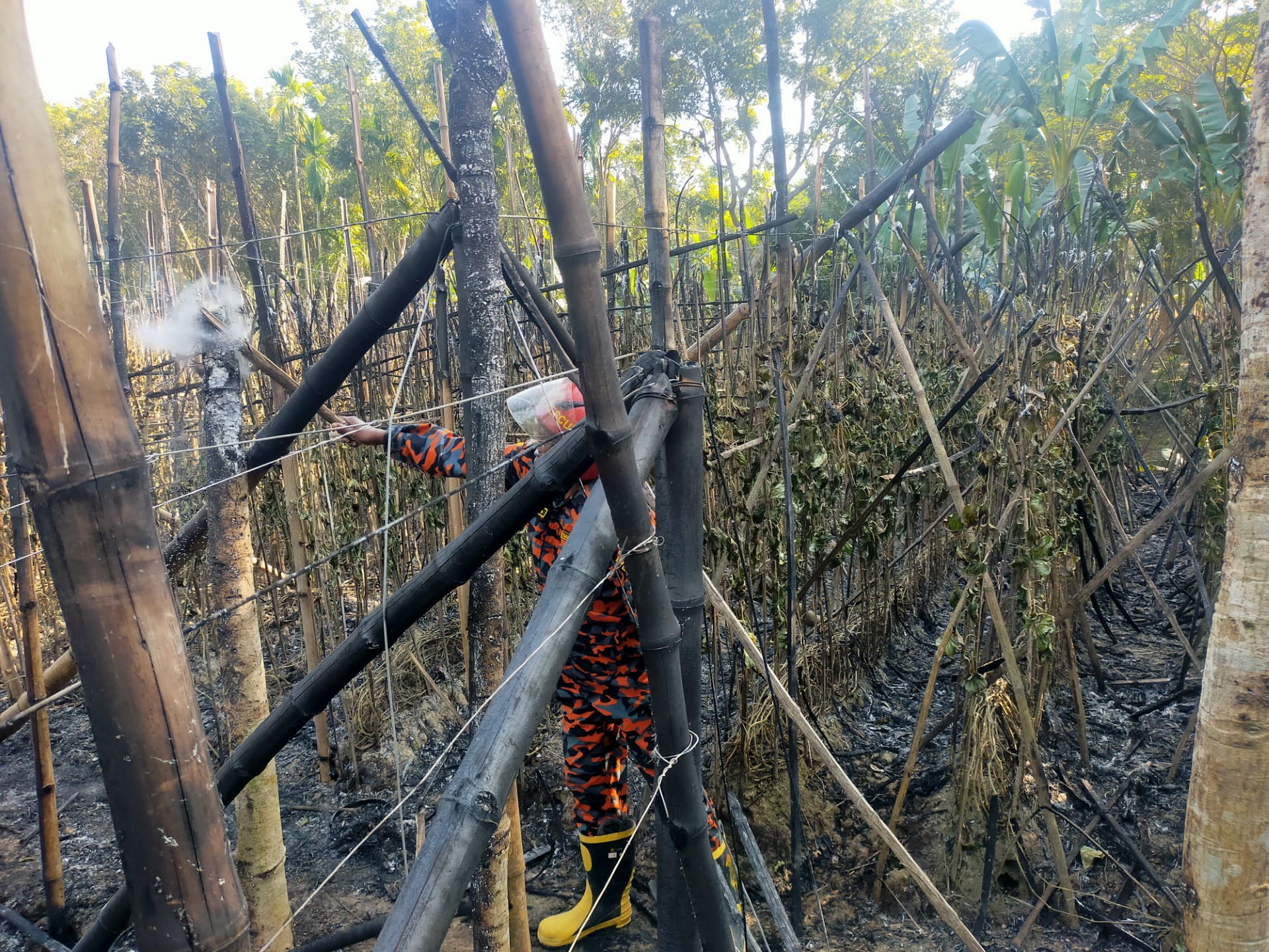 thumbnail_07-2-25_(2)