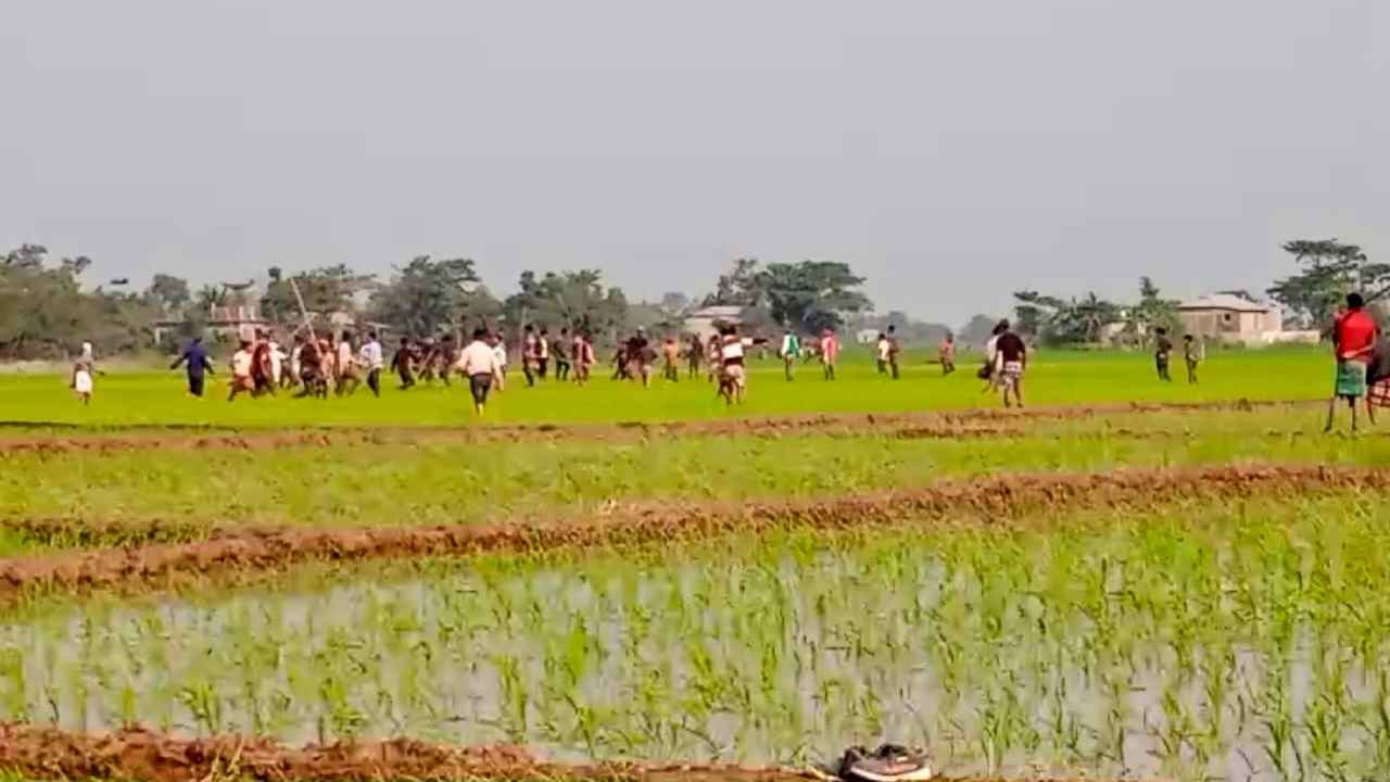 গরুতে জমির ধান খাওয়াকে কেন্দ্র করে দু’পক্ষের সংঘর্ষ, আহত ৩০