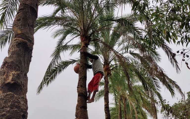 01-1-768x480 01-1-768x480