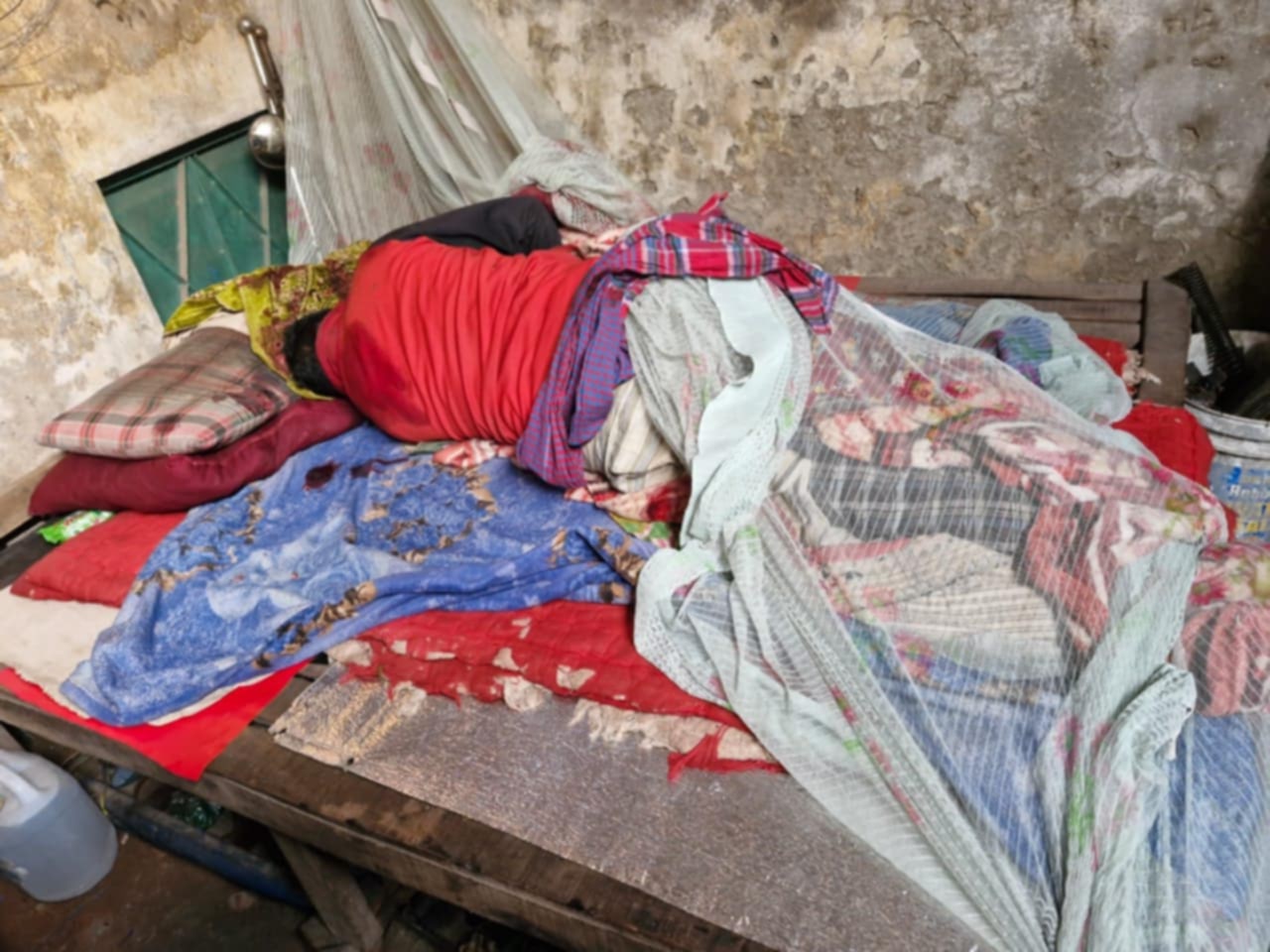 1000150427 1000150427