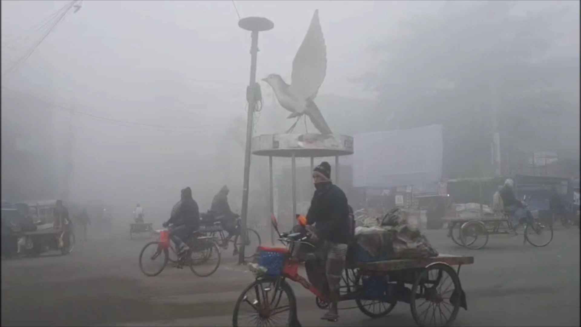 তাপমাত্রা ৩ ডিগ্রি কমে শৈত্য প্রবাহের কবলে চুয়াডাঙ্গা