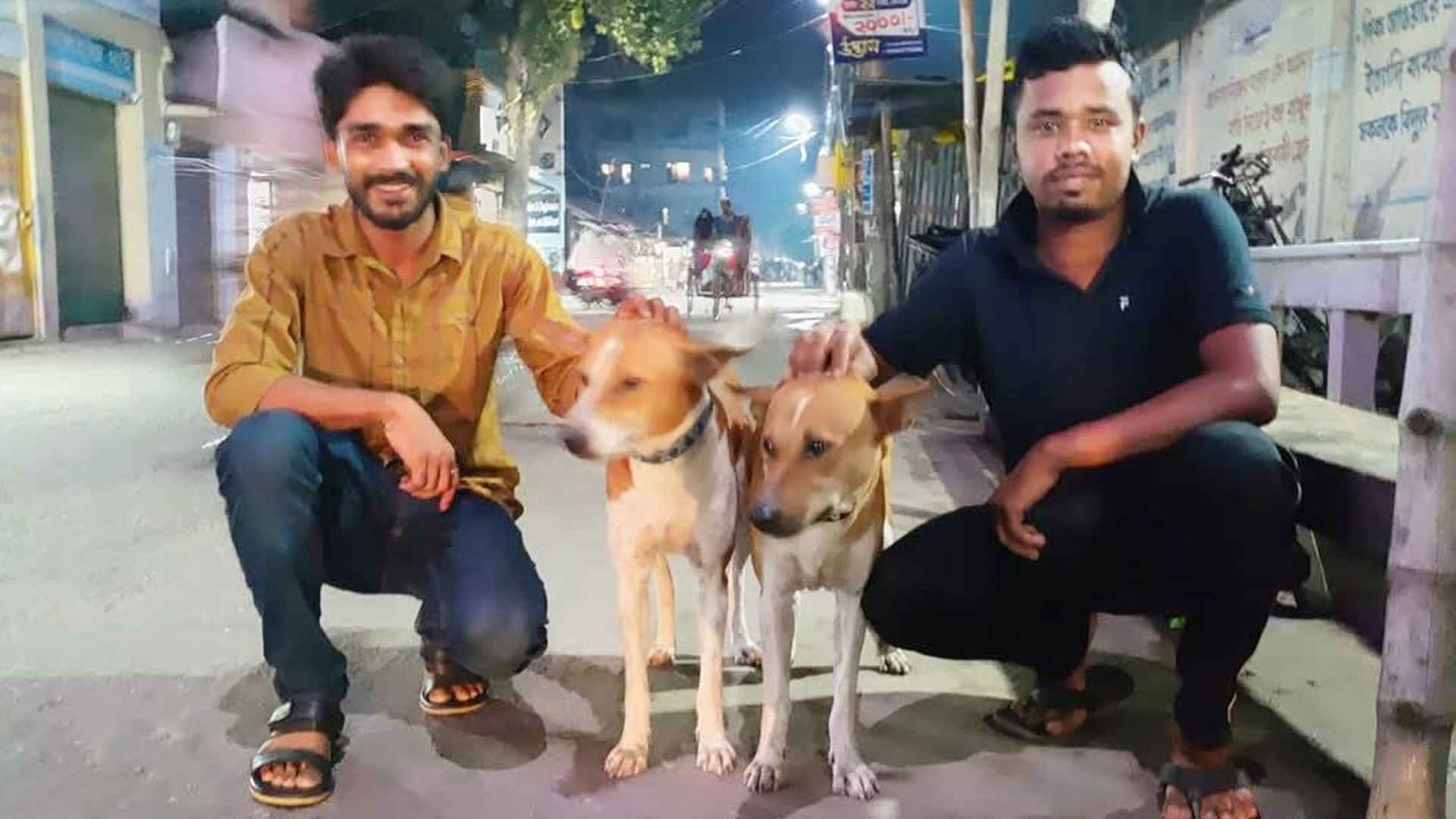 ক্ষুধার্ত কুকুরদের চিকন চালের ভুনা খিচুড়ি ও মুরগির মাংস খাওয়ান তারা