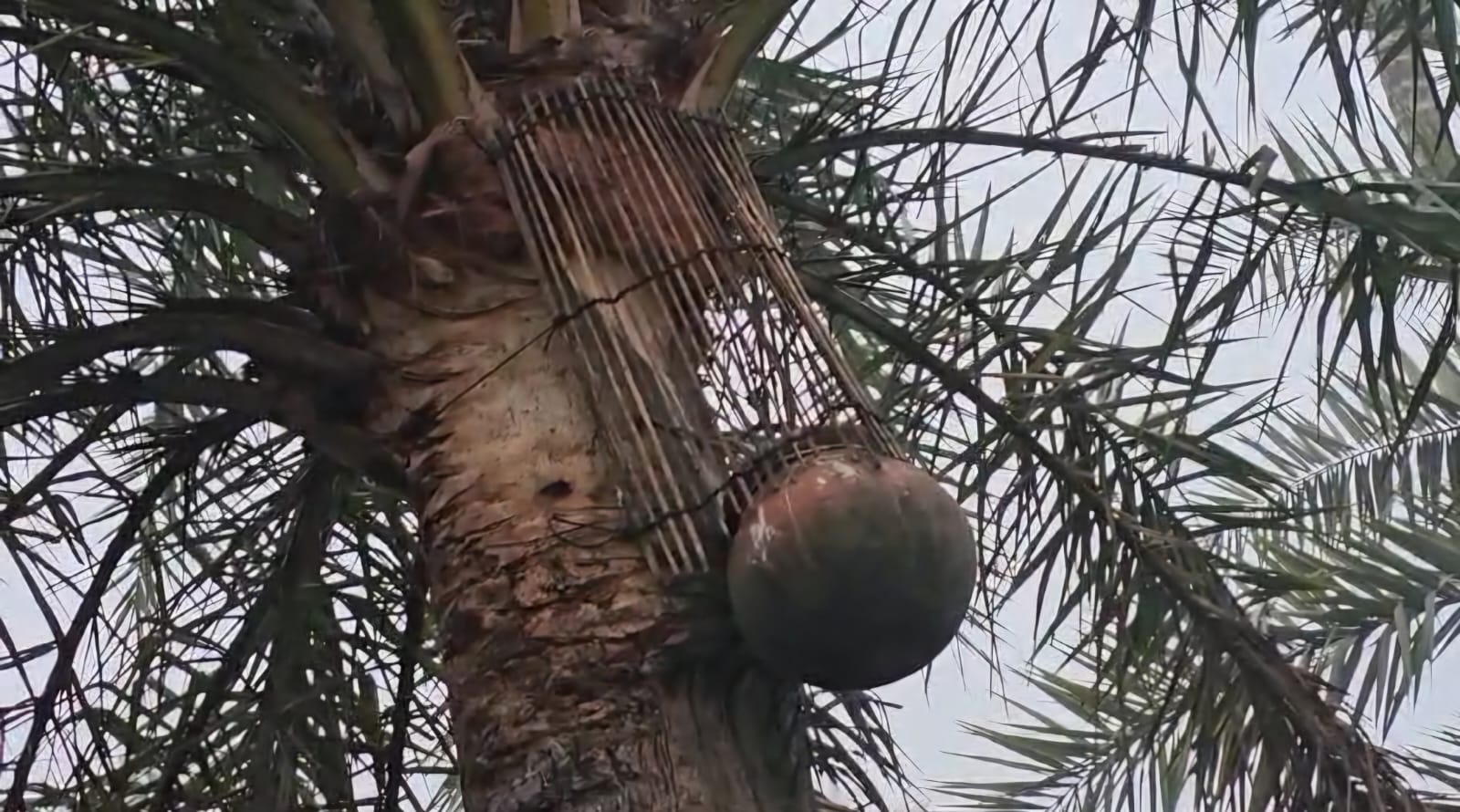 IMG-20250109-WA0136 IMG-20250109-WA0136