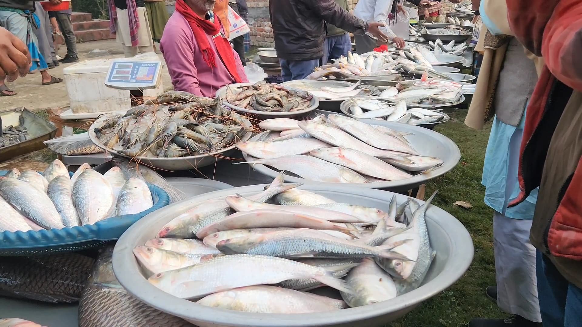 IMG-20250115-WA0003 IMG-20250115-WA0003