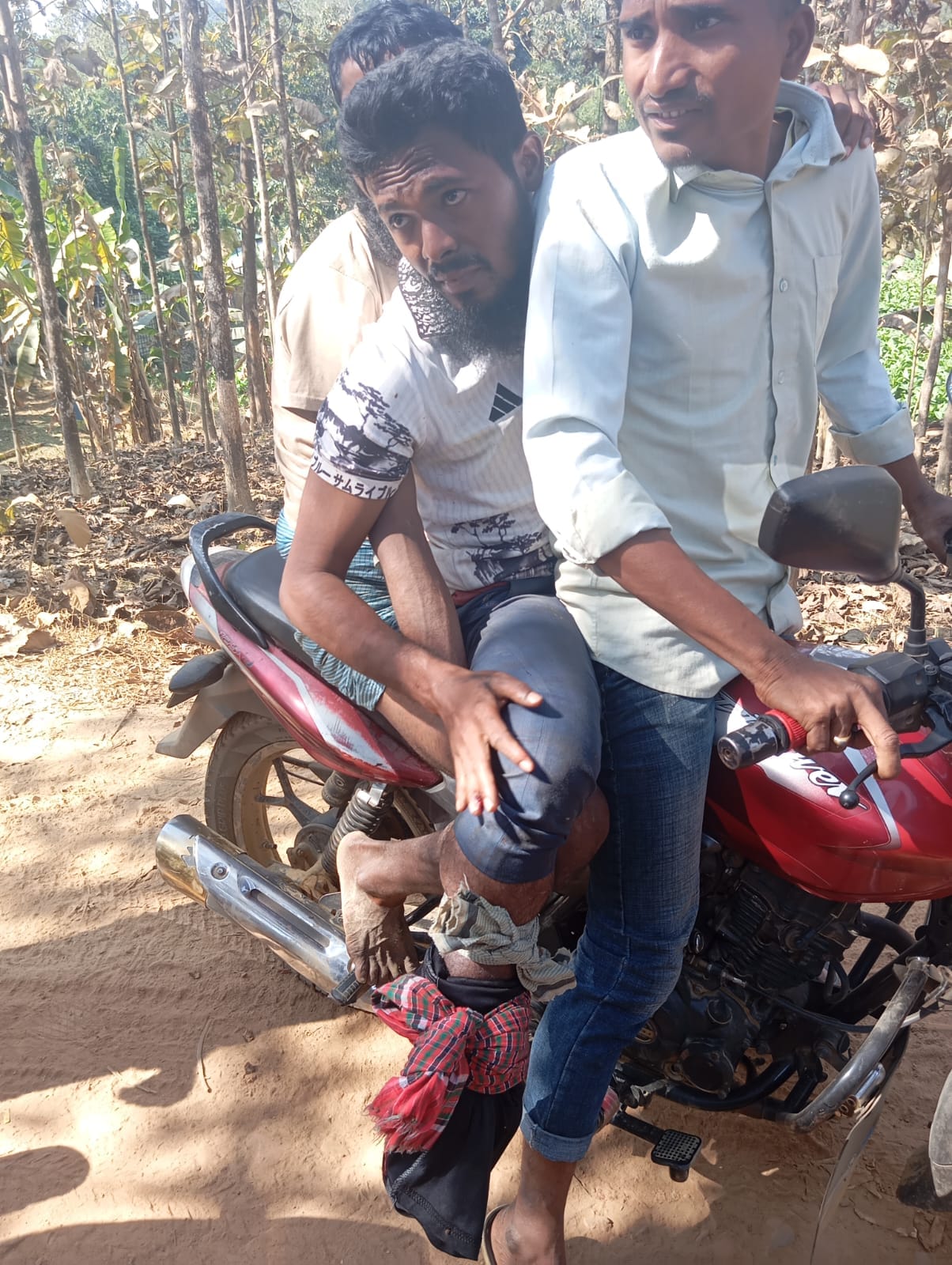 IMG-20250124-WA0010 IMG-20250124-WA0010